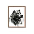 Picture of Sketched Bear _GroupedProduct_Rectangle_Portrait_Framed_Matted_