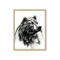 Picture of Sketched Bear _GroupedProduct_Rectangle_Portrait_Framed_Matted_