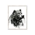 Picture of Sketched Bear _GroupedProduct_Rectangle_Portrait_Framed_Matted_