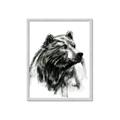 Picture of Sketched Bear _GroupedProduct_Rectangle_Portrait_Framed_Matted_