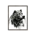 Picture of Sketched Bear _GroupedProduct_Rectangle_Portrait_Framed_Matted_