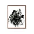 Picture of Sketched Bear _GroupedProduct_Rectangle_Portrait_Framed_Matted_