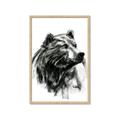 Picture of Sketched Bear _GroupedProduct_Rectangle_Portrait_Framed_Matted_