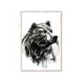 Picture of Sketched Bear _GroupedProduct_Rectangle_Portrait_Framed_Matted_