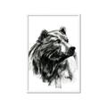 Picture of Sketched Bear _GroupedProduct_Rectangle_Portrait_Framed_Matted_