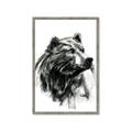 Picture of Sketched Bear _GroupedProduct_Rectangle_Portrait_Framed_Matted_