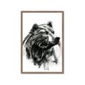 Picture of Sketched Bear _GroupedProduct_Rectangle_Portrait_Framed_Matted_