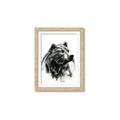 Picture of Sketched Bear _GroupedProduct_Rectangle_Portrait_Framed_Matted_