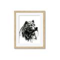 Picture of Sketched Bear _GroupedProduct_Rectangle_Portrait_Framed_Matted_