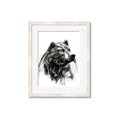 Picture of Sketched Bear _GroupedProduct_Rectangle_Portrait_Framed_Matted_