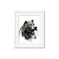 Picture of Sketched Bear _GroupedProduct_Rectangle_Portrait_Framed_Matted_