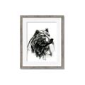 Picture of Sketched Bear _GroupedProduct_Rectangle_Portrait_Framed_Matted_