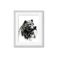 Picture of Sketched Bear _GroupedProduct_Rectangle_Portrait_Framed_Matted_