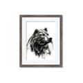 Picture of Sketched Bear _GroupedProduct_Rectangle_Portrait_Framed_Matted_