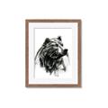 Picture of Sketched Bear _GroupedProduct_Rectangle_Portrait_Framed_Matted_