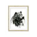 Picture of Sketched Bear _GroupedProduct_Rectangle_Portrait_Framed_Matted_