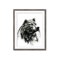 Picture of Sketched Bear _GroupedProduct_Rectangle_Portrait_Framed_Matted_
