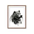 Picture of Sketched Bear _GroupedProduct_Rectangle_Portrait_Framed_Matted_