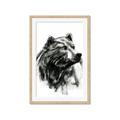 Picture of Sketched Bear _GroupedProduct_Rectangle_Portrait_Framed_Matted_