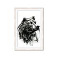 Picture of Sketched Bear _GroupedProduct_Rectangle_Portrait_Framed_Matted_