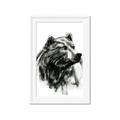 Picture of Sketched Bear _GroupedProduct_Rectangle_Portrait_Framed_Matted_