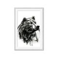 Picture of Sketched Bear _GroupedProduct_Rectangle_Portrait_Framed_Matted_