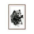 Picture of Sketched Bear _GroupedProduct_Rectangle_Portrait_Framed_Matted_