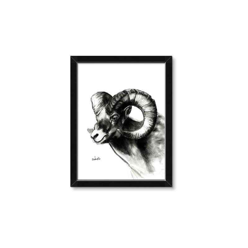 Picture of Sketched Ram _GroupedProduct_Rectangle_Portrait_Framed_Matted_
