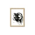 Picture of Sketched Ram _GroupedProduct_Rectangle_Portrait_Framed_Matted_