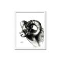 Picture of Sketched Ram _GroupedProduct_Rectangle_Portrait_Framed_Matted_