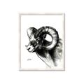 Picture of Sketched Ram _GroupedProduct_Rectangle_Portrait_Framed_Matted_