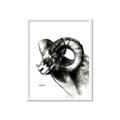 Picture of Sketched Ram _GroupedProduct_Rectangle_Portrait_Framed_Matted_