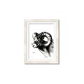 Picture of Sketched Ram _GroupedProduct_Rectangle_Portrait_Framed_Matted_