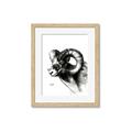 Picture of Sketched Ram _GroupedProduct_Rectangle_Portrait_Framed_Matted_