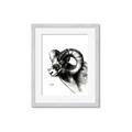 Picture of Sketched Ram _GroupedProduct_Rectangle_Portrait_Framed_Matted_