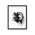 Picture of Sketched Ram _GroupedProduct_Rectangle_Portrait_Framed_Matted_