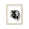 Picture of Sketched Ram _GroupedProduct_Rectangle_Portrait_Framed_Matted_