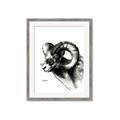 Picture of Sketched Ram _GroupedProduct_Rectangle_Portrait_Framed_Matted_