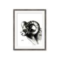Picture of Sketched Ram _GroupedProduct_Rectangle_Portrait_Framed_Matted_