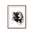 Picture of Sketched Ram _GroupedProduct_Rectangle_Portrait_Framed_Matted_