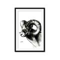 Picture of Sketched Ram _GroupedProduct_Rectangle_Portrait_Framed_Matted_