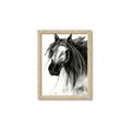 Picture of Sketched Horse _GroupedProduct_Rectangle_Portrait_Framed_Matted_