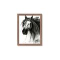 Picture of Sketched Horse _GroupedProduct_Rectangle_Portrait_Framed_Matted_