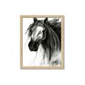 Picture of Sketched Horse _GroupedProduct_Rectangle_Portrait_Framed_Matted_