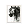Picture of Sketched Horse _GroupedProduct_Rectangle_Portrait_Framed_Matted_