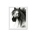 Picture of Sketched Horse _GroupedProduct_Rectangle_Portrait_Framed_Matted_