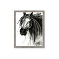 Picture of Sketched Horse _GroupedProduct_Rectangle_Portrait_Framed_Matted_