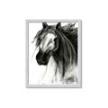 Picture of Sketched Horse _GroupedProduct_Rectangle_Portrait_Framed_Matted_