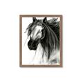 Picture of Sketched Horse _GroupedProduct_Rectangle_Portrait_Framed_Matted_