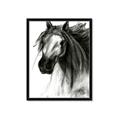 Picture of Sketched Horse _GroupedProduct_Rectangle_Portrait_Framed_Matted_
